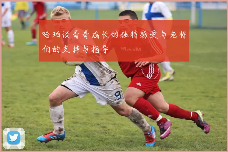 哈珀谈哥哥成长的独特感受与老将们的支持与指导